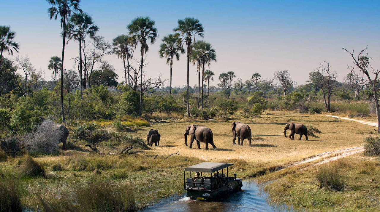 10 Most exciting activities to do in Nyerere National Park on a Tanzania safari tour